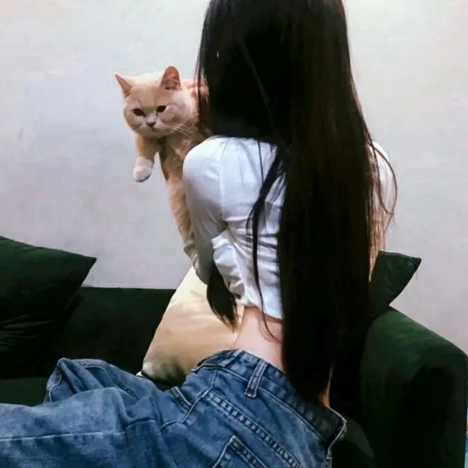 上班一条虫
